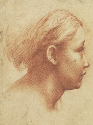 Girl's head in profile