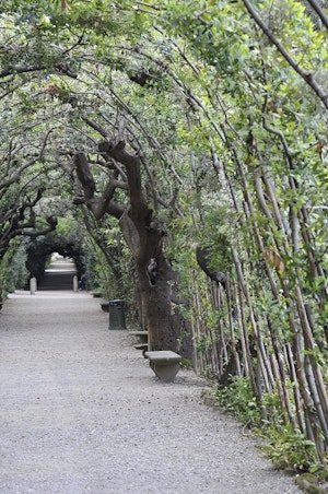 Cerchiate (Branch Archways)