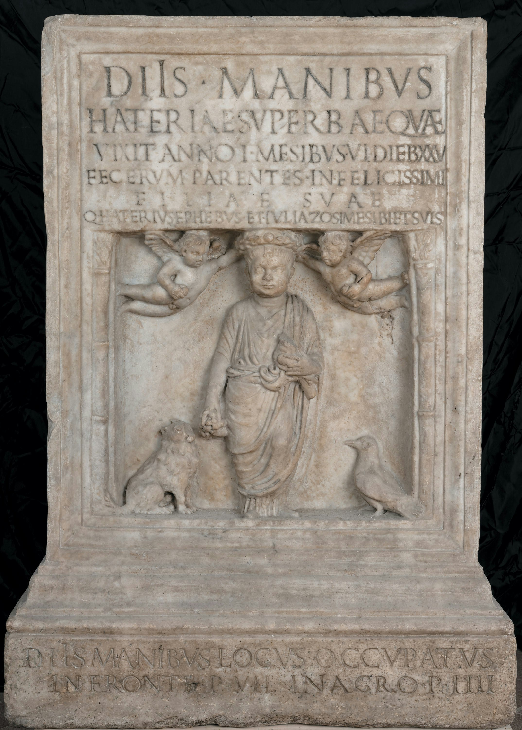 Ara in onore di Hateria Superba