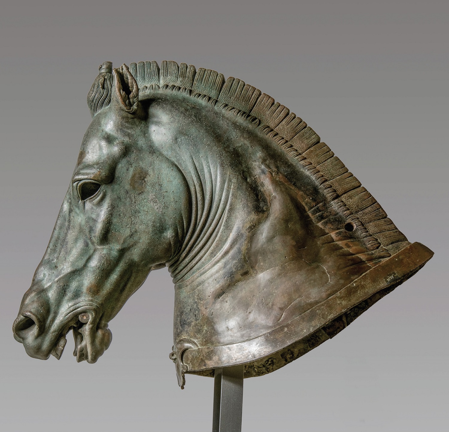 Riding through the time. The Art of horse riding. From Antiquity to the Middle Ages