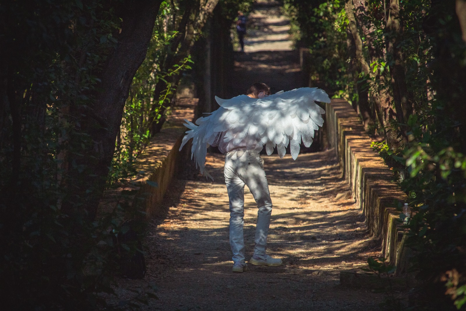 "Tra Selva e Stelle": gli incontri di Dante nel Giardino di Boboli diventano un lungometraggio