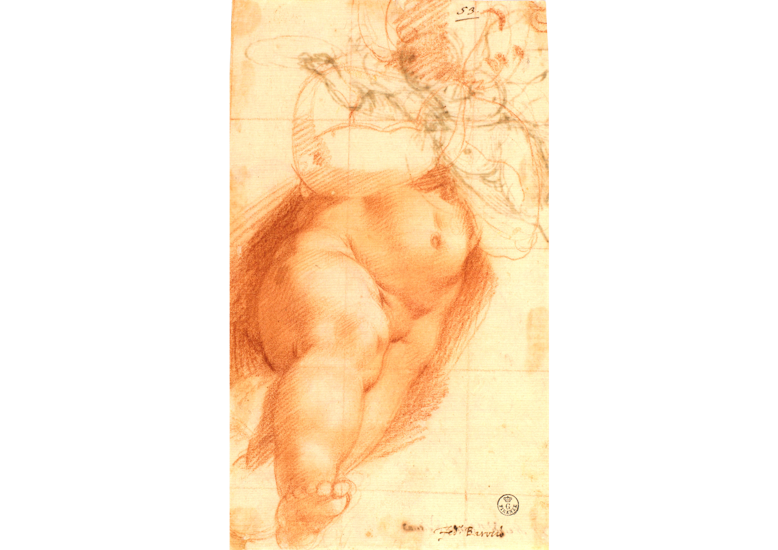 Putto